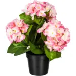 XXXLutz Lauterach - Ihr M&ouml;belhaus bei Bregenz Kunstpflanze Hortensie 32 cm
