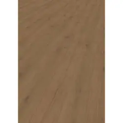 Vinylboden Elito Trend Eiche Cafe!Pur 100005401 per m&sup2;