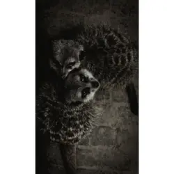 Aluminiumbild 70/118 cm