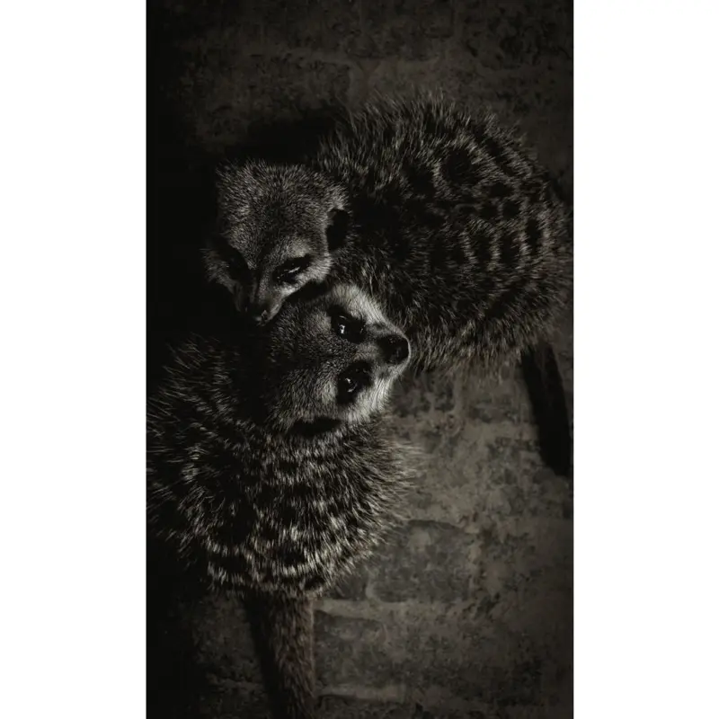 Aluminiumbild 70/118 cm