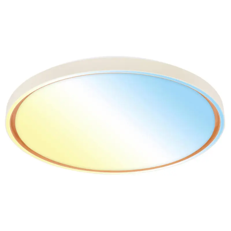 Led-Deckenleuchte 49,5/6,5 cm