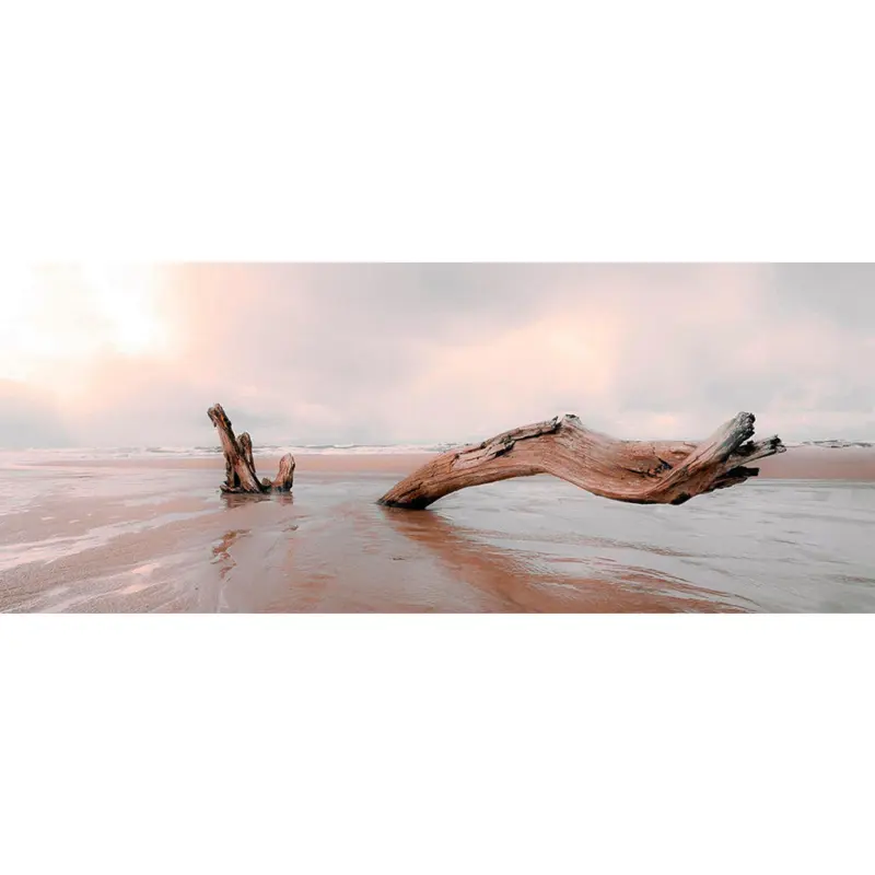 Leinwandbild Landschaft & Natur 100/40/3 cm