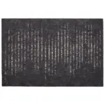 XXXLutz Lauterach - Ihr M&ouml;belhaus bei Bregenz FU&szlig;MATTE 40/60 cm