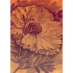 XXXLutz Lauterach - Ihr M&ouml;belhaus bei Bregenz Fototapete