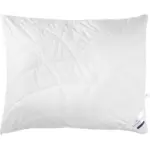 XXXLutz Lauterach - Ihr M&ouml;belhaus bei Bregenz Polster 70/90 cm