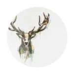 XXXLutz Lauterach - Ihr M&ouml;belhaus bei Bregenz Fr&uuml;hst&uuml;cksteller 22,5 cm