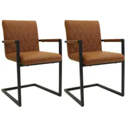 Armlehnstuhl-Set 2 St&uuml;ck Lederlook