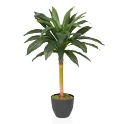 Kunstpflanze Drachenbaum