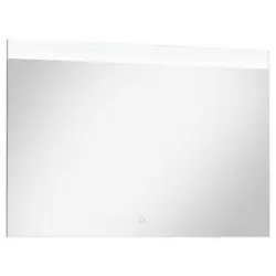 Badezimmerspiegel 100/72/2,5 cm