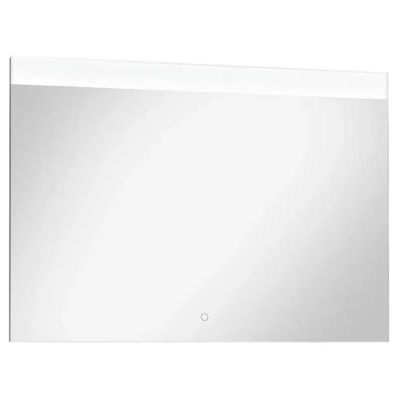 Badezimmerspiegel 100/72/2,5 cm