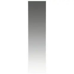Wandspiegel 42/170/3 cm