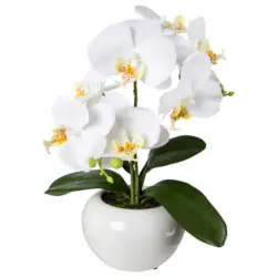 Kunstpflanze Orchidee 35 cm