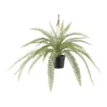 XXXLutz Lauterach - Ihr M&ouml;belhaus bei Bregenz Kunstpflanze Farn 45 cm