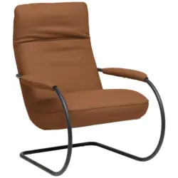 Sessel in Echtleder Cognac