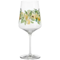 Spritzerglas 544 ml