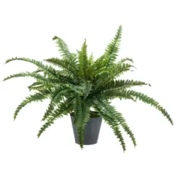 Kunstpflanze Farn