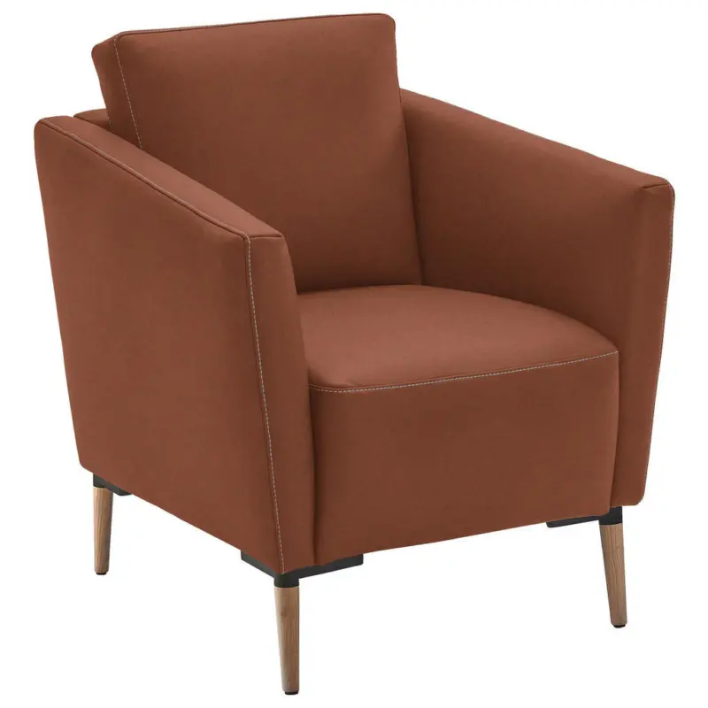 Sessel in Echtleder Cognac