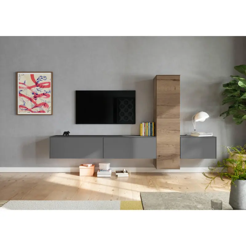 Wohnwand in Grau, Eichefarben 282/160/37 cm