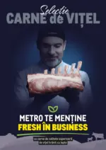Metro Catalog Metro p&acirc;nă &icirc;n data de 31.12.2026 - p&acirc;nă la 31-12-26