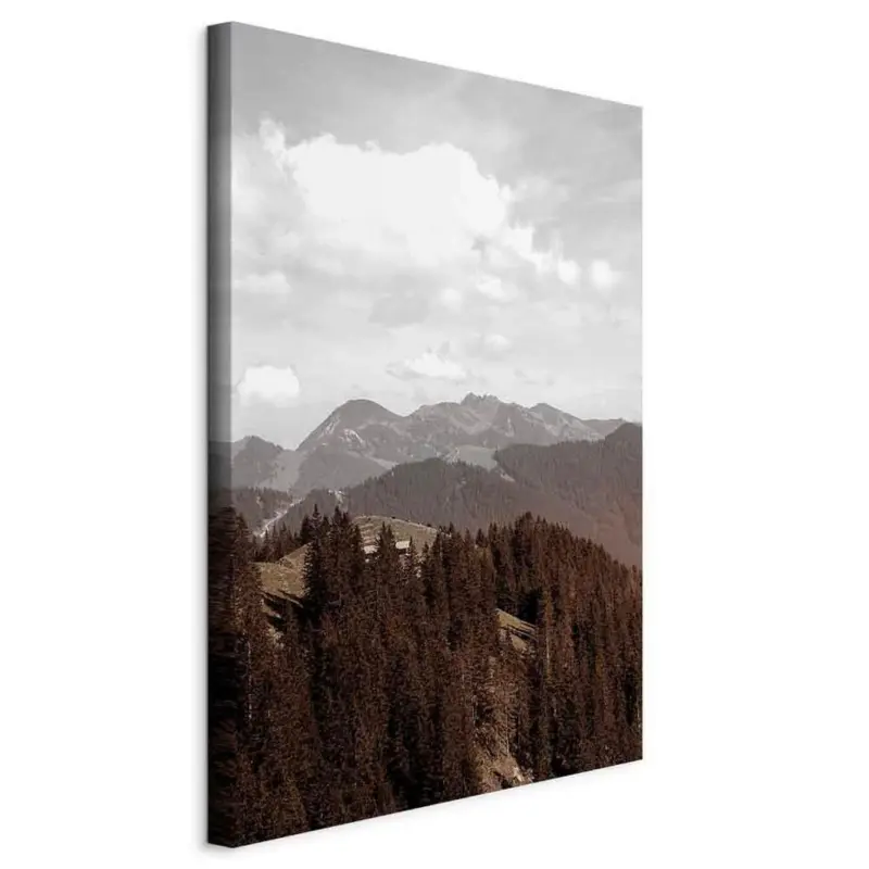 Leinwandbild Landschaft & Natur, Abstraktes 40/60/1.2 cm