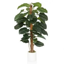 Kunstpflanze Efeutute