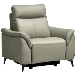 Sessel in Echtleder Hellgrau