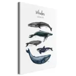 XXXLutz Lauterach - Ihr M&ouml;belhaus bei Bregenz Leinwandbild Tiere, Text, Kinder 40/60/1.2 cm