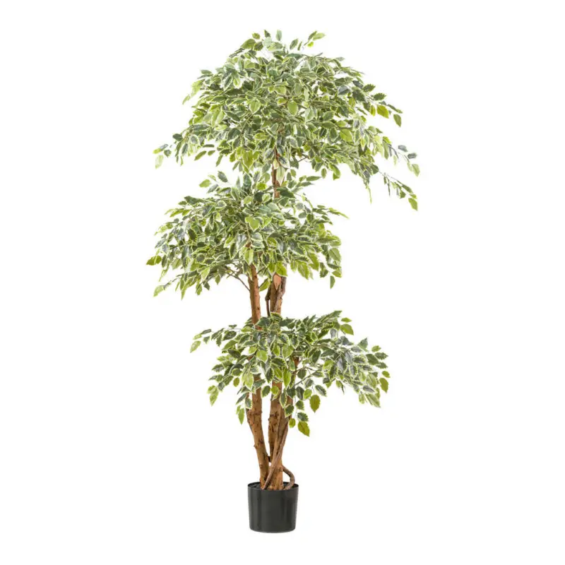 Kunstpflanze Ficus Benjamina 165 cm
