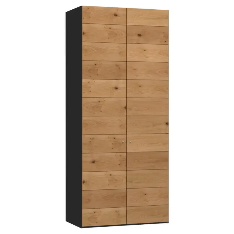 Dreht&uuml;renschrank in Schwarz, Wildeiche