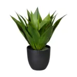 XXXLutz Lauterach - Ihr M&ouml;belhaus bei Bregenz Kunstpflanze Agave 36 cm