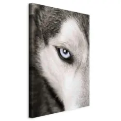 Leinwandbild Tiere 40/60/1,2 cm