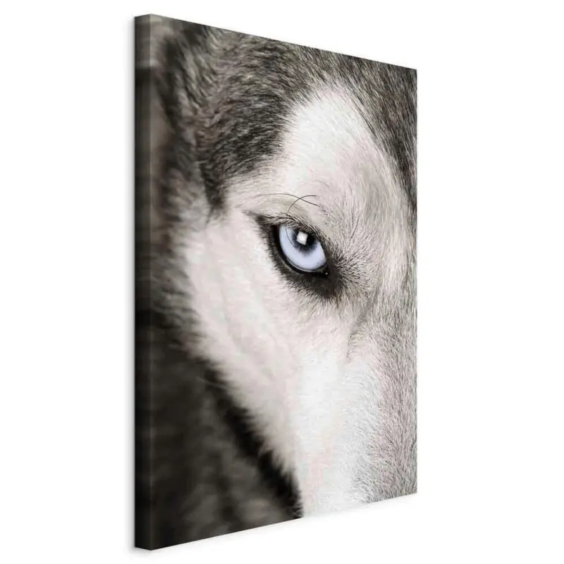 Leinwandbild Tiere 40/60/1,2 cm