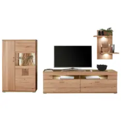 Wohnwand in Alteiche 317,1/171/50,2 cm