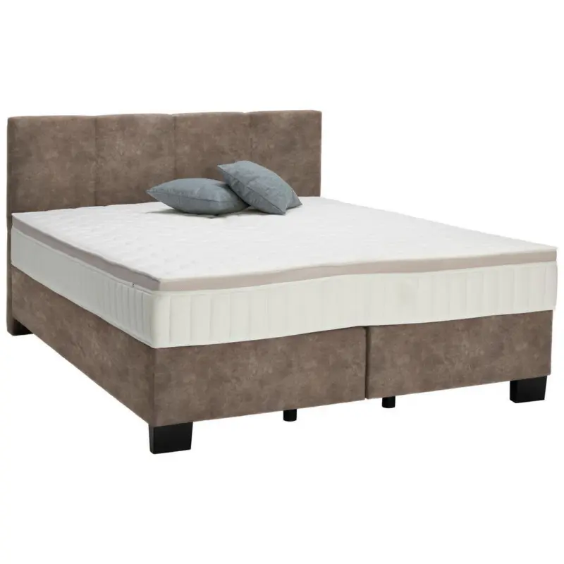 Boxspringbett 200/200 cm in Taupe