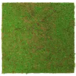 XXXLutz Lauterach - Ihr M&ouml;belhaus bei Bregenz Akustikpaneel Modular Wall System Design Flora 52/52/2 cm