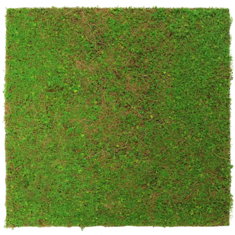 Akustikpaneel Modular Wall System Design Flora 52/52/2 cm