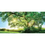 XXXLutz Lauterach - Ihr M&ouml;belhaus bei Bregenz Leinwandbild Landschaft & Natur