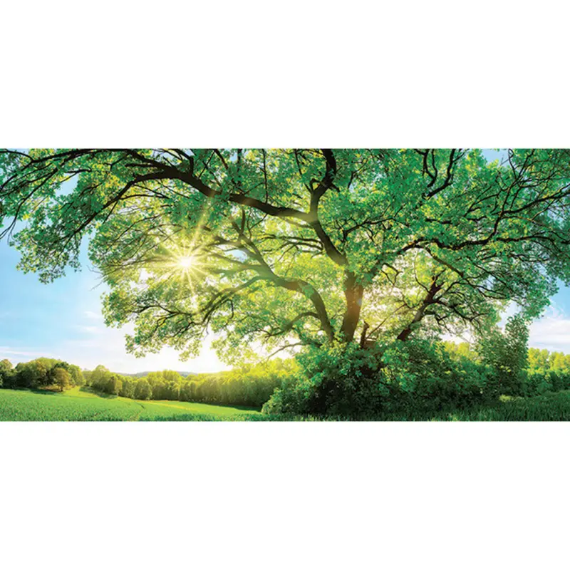 Leinwandbild Landschaft & Natur