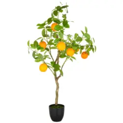 Orangenbaum Orange 115 cm