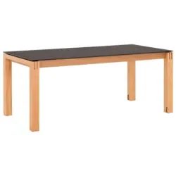 Esstisch in Holz, Kunststoff 180-280/100/76 cm