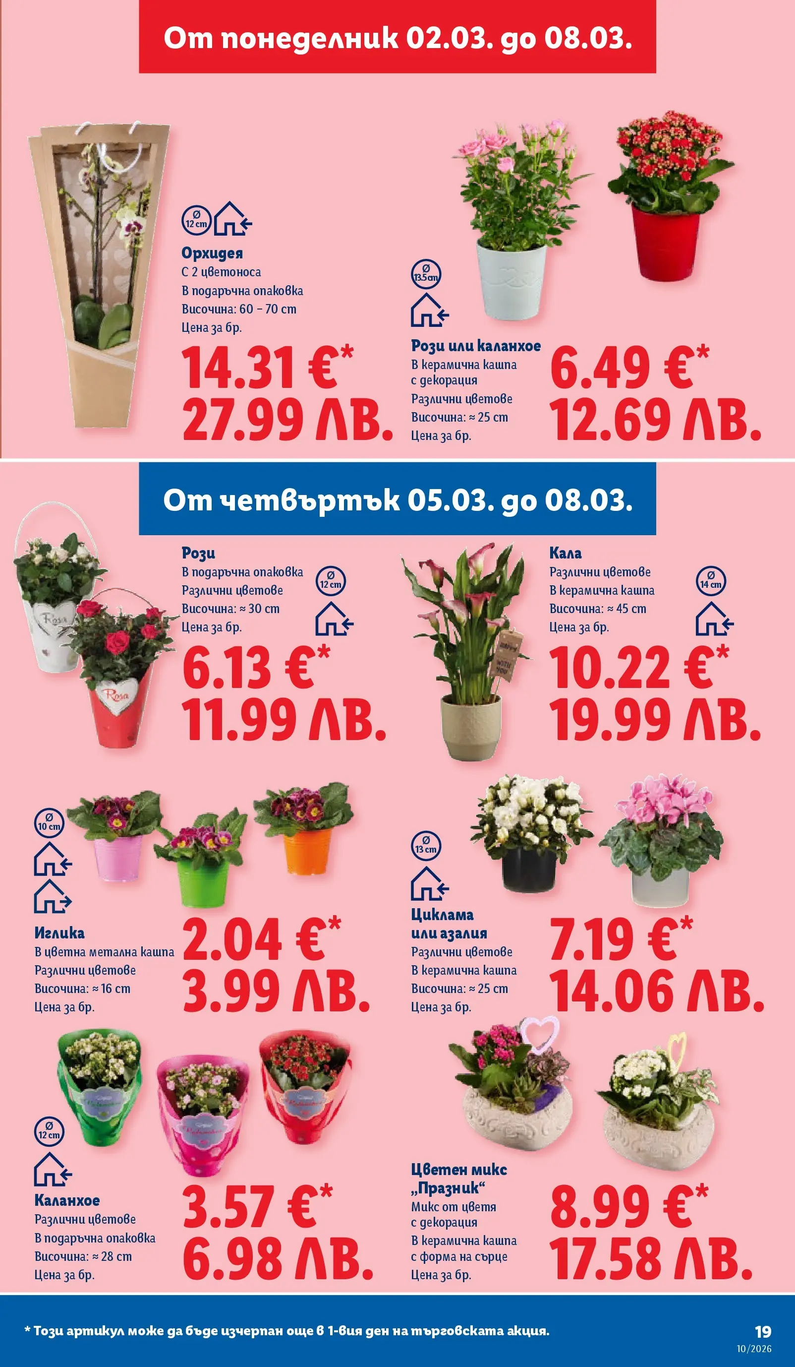 Лидл - Екзотични предложения в японски стил в ЛИДЛ с валидност до 08.03.2026 от 02.03.2026 | Страница: 19 | Продукти: Кашпа, Орхидея, Декорация