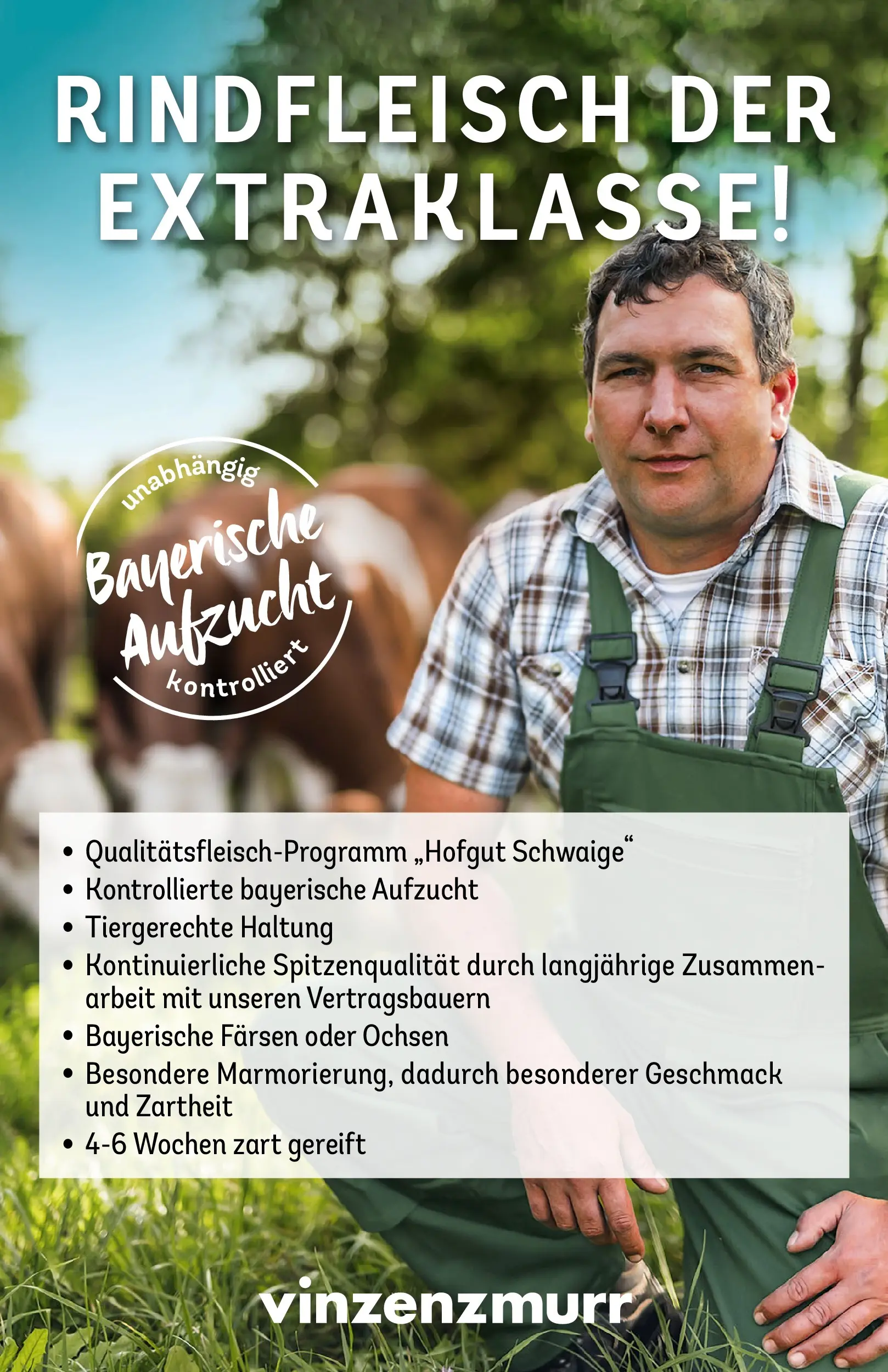 REWE Prospekt ab 01.03.2026 zum Blättern » Angebote | Seite: 11