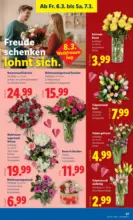 Lidl Lidl - ab 05.03.2026