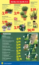 Lidl Lidl - ab 05.03.2026