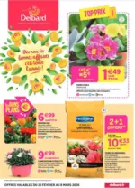 Delbard Top prix ! - au 08.03.2026