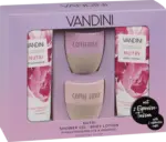 dm drogerie markt VANDINI Geschenkset Nutri Espressotassen