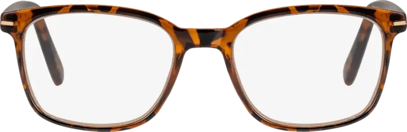 Visiomax Fertig-Lesebrille demi-braun Vollrand + 2,0