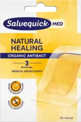 Salvequick Pflaster Natural Healing