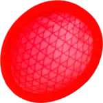 dm drogerie markt MYLILY Menstruationstasse Set Gr. S&L