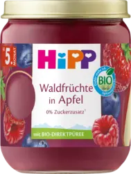 HiPP Fr&uuml;chte Waldfr&uuml;chte in Apfel ab dem 5. Monat